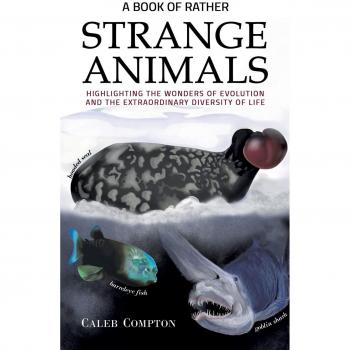 A Book of Rather Strange Animals: Highlighting the Wonders of Evolution and the Extraordinary Diversity of Life