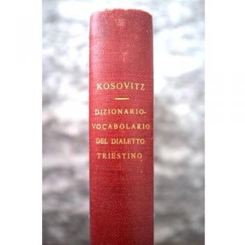 Dizionario del dialetto triestino e della lingua italiana