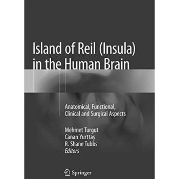 Island of Reil (Insula) in the Human Brain: Anatomical, Functional, Clinical and Surgical Aspects