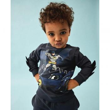 Sudadera Batman Regular Fit
