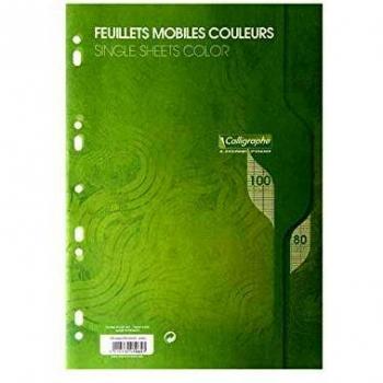 Sachet de 50 feuillets mobiles (100 pages) format 21x29,7cm séyès 80g coloris vert