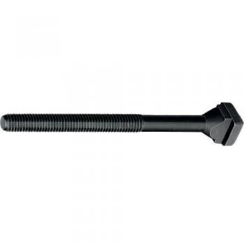 Vis pour rainure en T 14 mm M12 160 mm