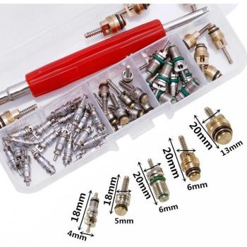 50Pcs R12/R134A A/C Valve Removal Tool Assortment
