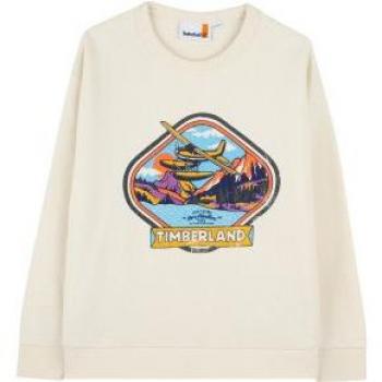 Timberland Hoodie Garçon 12 ans