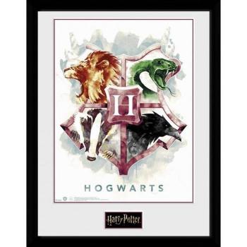 Stampa Acquerello Harry Potter