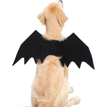 Halloween Bat Costume for Pets