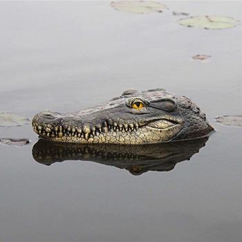 Tête de Crocodile en Résine