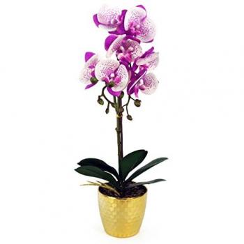 Artificial Phalaenopsis Orchid (50 cm) – Purple & White, Gold Container