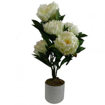 Synthetic White Peony Stem 55cm