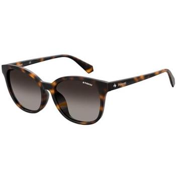 Gafas de sol Tortoiseshell Polaroid 4089F 86 LA