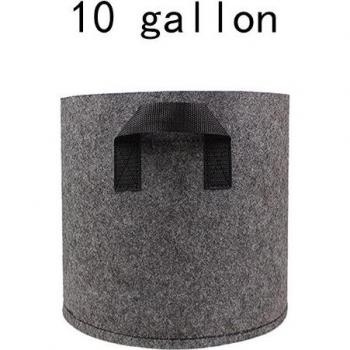 Felt Grow Bag with Handle