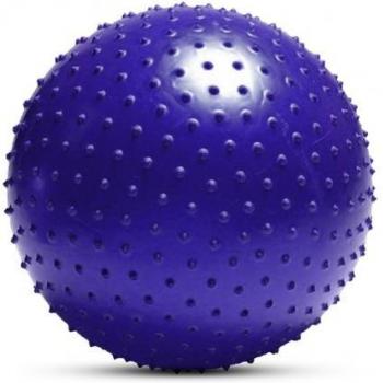 55cm Fitness Tool