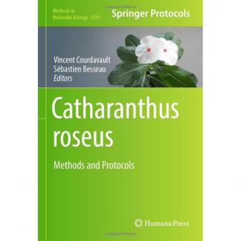 Catharanthus roseus