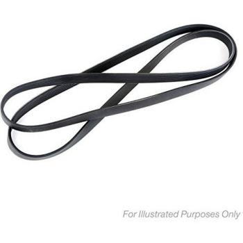 Gates 8PK1222ES Multi-Ribbed V-Belt