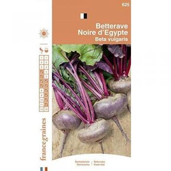 Graines de Betterave Noire