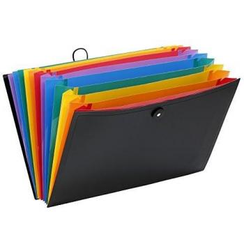 Extensible organizer