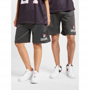 Shorts DEF DEF Gr. L, US-Größen, blau (antracite), Herren, 100% Polyester, Hosen