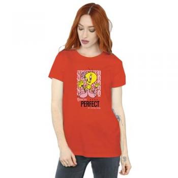You’re Perfect Tweety Cotton Casual T-Shirt – Women's Red