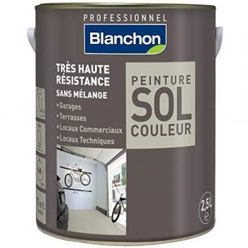 BluPavimenti Grigio Chiaro 2,5L