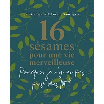 16 sésames pour une vie merveilleuse: Pourquoi je n'y ai pas pensé plus tôt ?