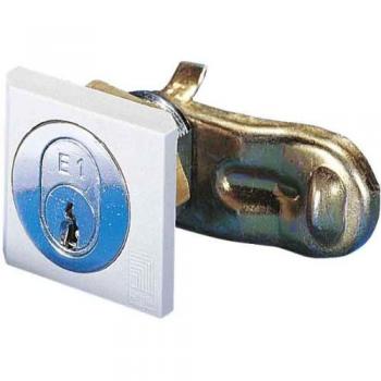 Rittal SZ 2540.500 Polyamide Security Lock for Enclosure