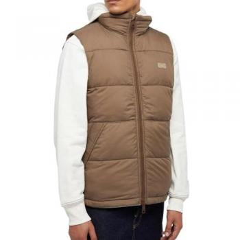 Dickies Daunenjacke für Männer DK0A4Y2KMR11
