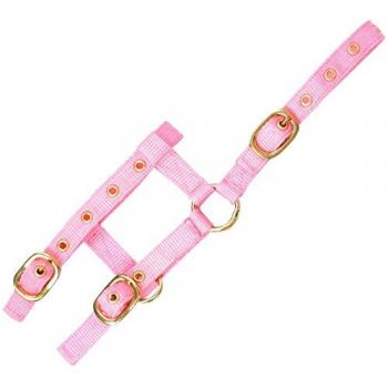 Norton Pink Mini Adjustable Headcollar