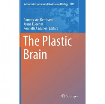 The Plastic Brain (Advances in Experimental Medicine and Biology, 1015, Band 1015)