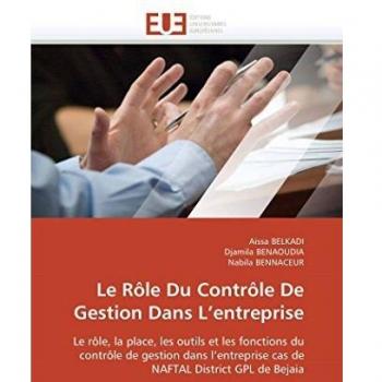 Le Rôle Du Contrôle De Gestion Dans L'entreprise: Le rôle, la place, les outils et les fonctions du contrôle de gestion dans l'entreprise cas de NAFTAL District GPL de Bejaia