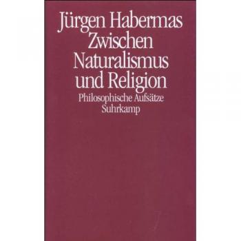 Zwischen Naturalismus und Religion: Philosophische Aufsätze