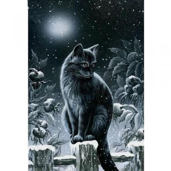Set di Ricamo a Diamante per Gatto 5D, Punto Croce 20x30 cm