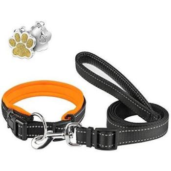 Doggy Orange Neoprene Collar and Short Lead