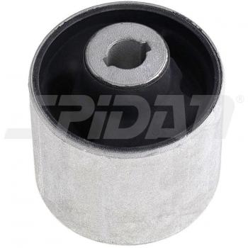 Suspension Silencieuse Triangulaire SPIDAN 412940
