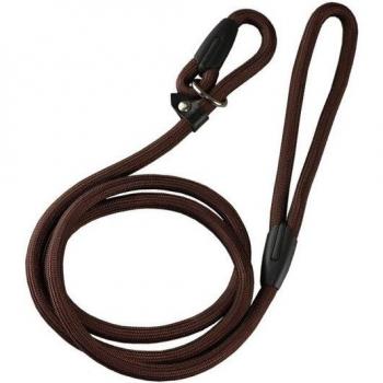 Outdoor Dog Leash