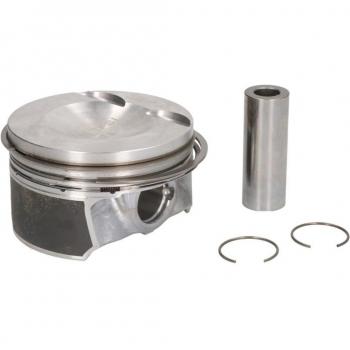 Pistón MAHLE 028 PI 00119 Original