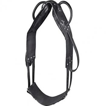 Star Vaulting and Lunge Horse Surcingle