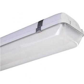 Feuchtraum-LED von Thorn Zumtobel AquaForce II