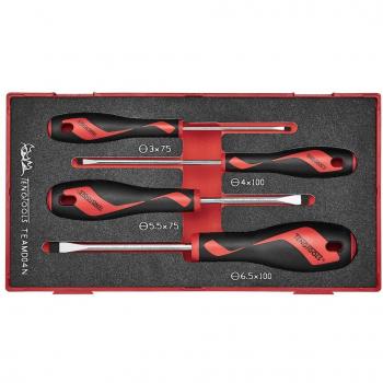 Tournevis Plat Teamd04n Teng Tools