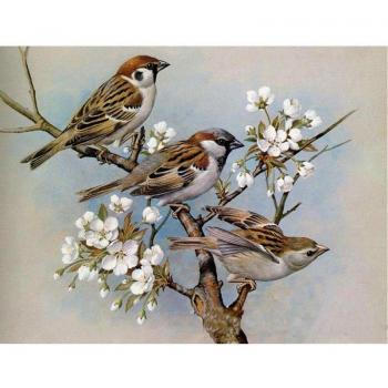 Arte in Diamante 5D: Animale, Tre Uccelli, Fiori & Punto Incrocio – Mosaico Home 20x30cm