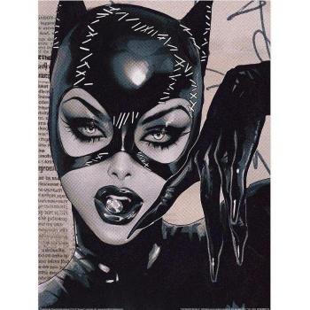 DC Comics Catwoman Pearl Pattern Cushion 40cm x Black/Cream