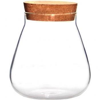 DIY Glass Terrarium for Succulent Plants