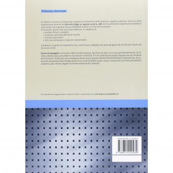 Diritto processuale civile. Manuale breve
