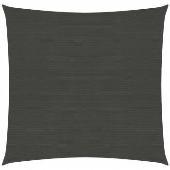 VidaXL Sonnensegel 6x6 m 160 g/m² Anthrazit