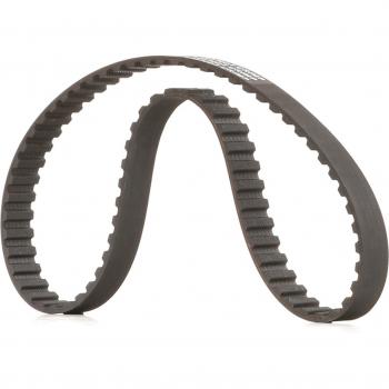 RIDEX Cinghia Dentata 069130113A
