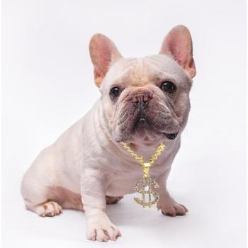 Alloy Chain Dog Collar with Hip-hop Style US Dollar Pendant