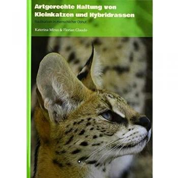 Artgerechte Haltung von Kleinkatzen und Hybridrassen: Raubkatzen in menschlicher Obhut