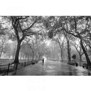 Kunstwerk „New York City Poet's Walk“ – 176×117 cm Mural