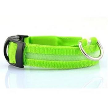 Collare LED Luminoso per Animali – Modello Regolabile, Disponibile in Vari Tonalità