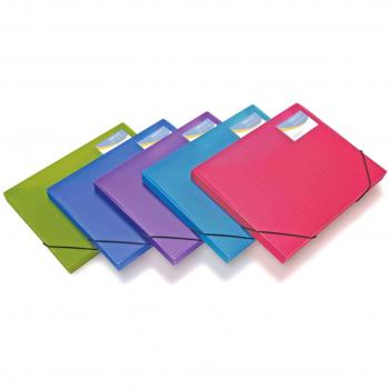 Pqt de 5 Porte-Documents A4 25 mm Couleurs Vives Transparentes