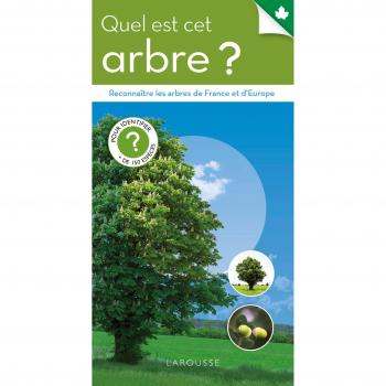 Quel est cet arbre ?